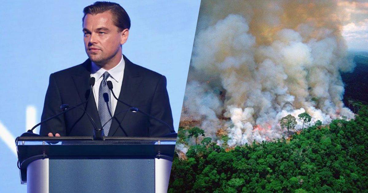 DiCaprio dona 5 milioni di dollari per salvare lAmazzonia