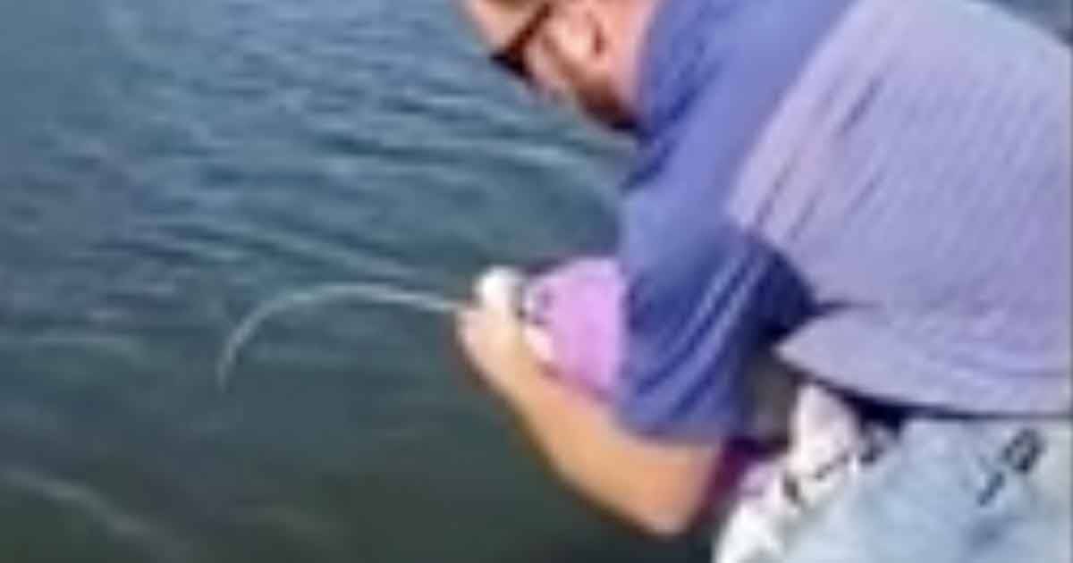 Questa bambina ha preso un pesce da 15 kg con la sua canna da pesca giocattolo