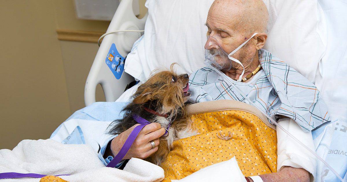 Il veterano abbraccia per lultima volta il suo cane la foto