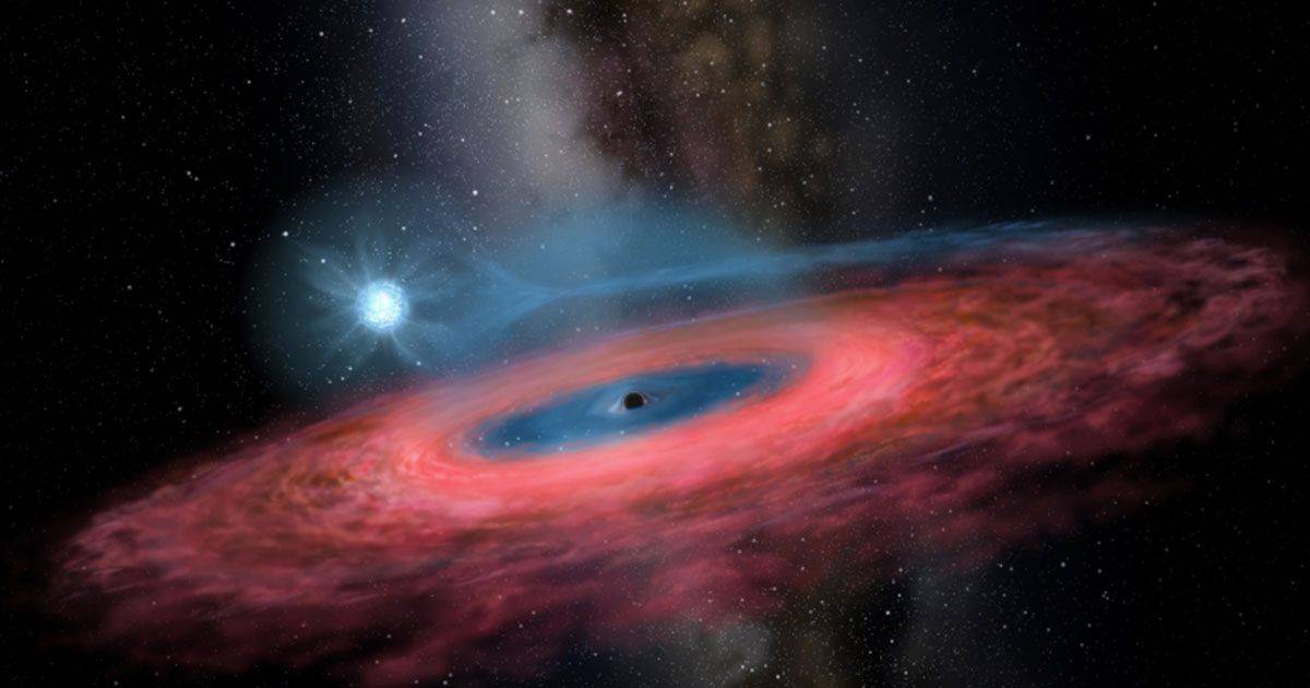 Scoperto un buco nero impossibile nella Via Lattea
