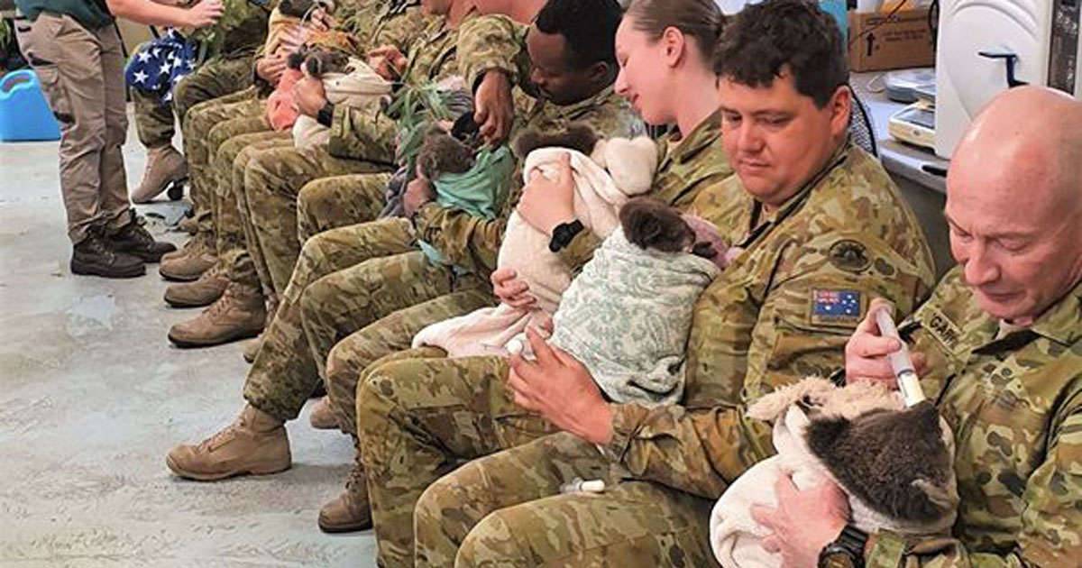 I militari si prendono cura dei koala in Australia le foto