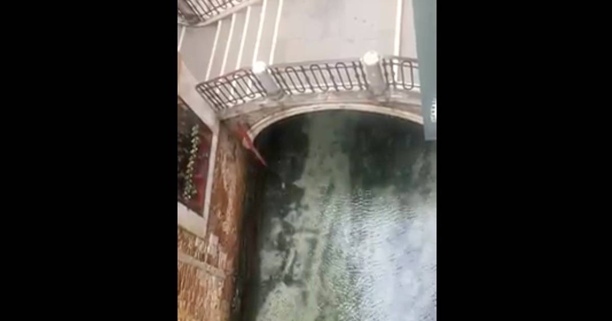 Dopo molti giorni senza smog a Venezia le acque tornano ad essere limpide