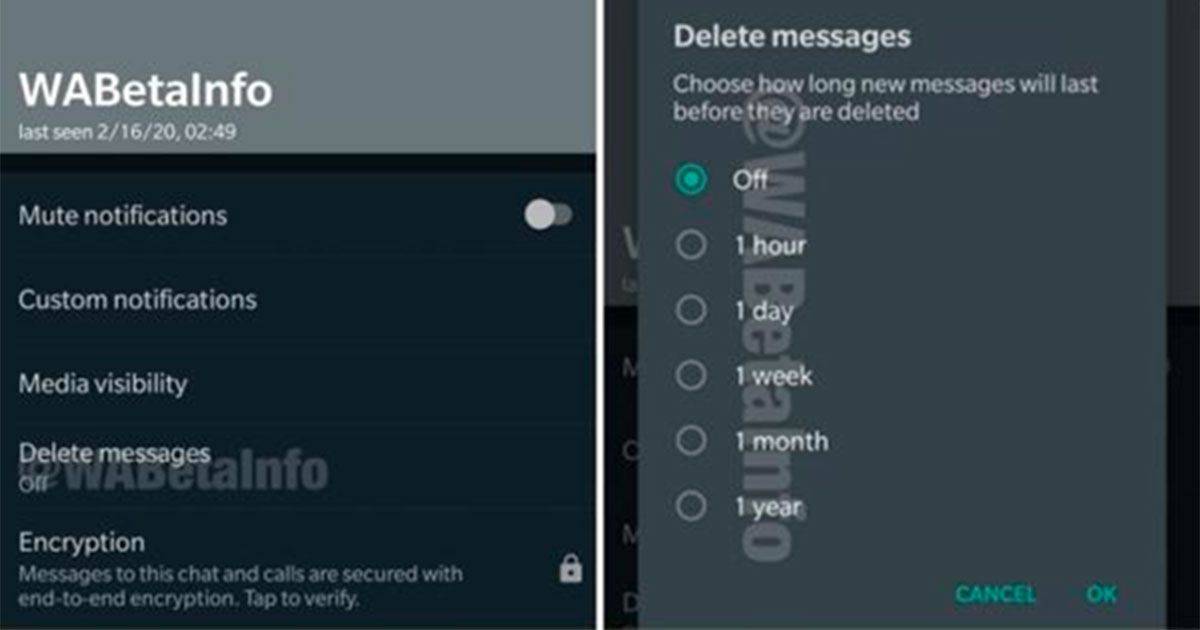 WhatsApp, ora è ufficiale: arrivano i messaggi che si autodistruggono