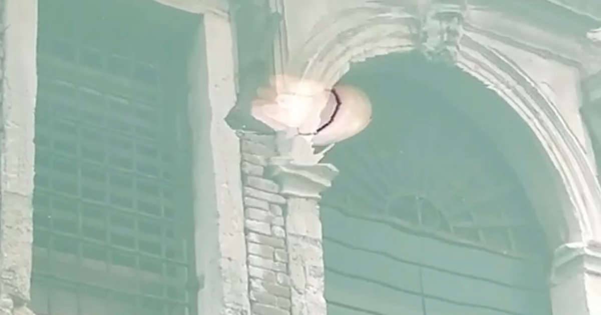 A Venezia una medusa nuota nelle acque limpide il video 