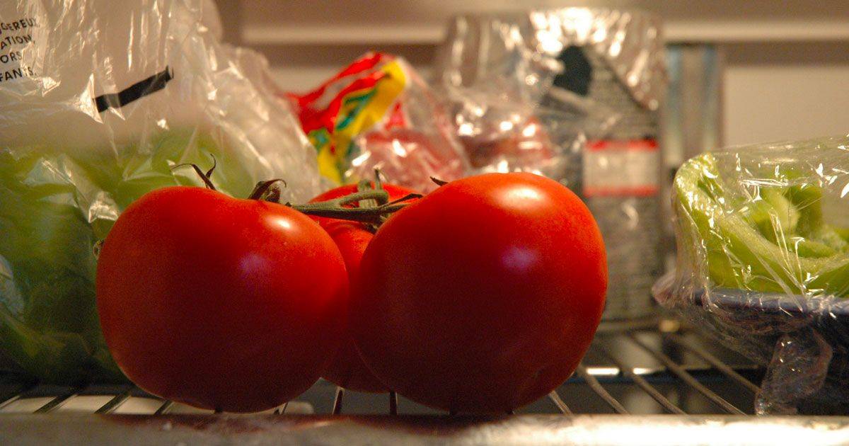 Conservare i pomodori in frigo  sbagliato ecco perch