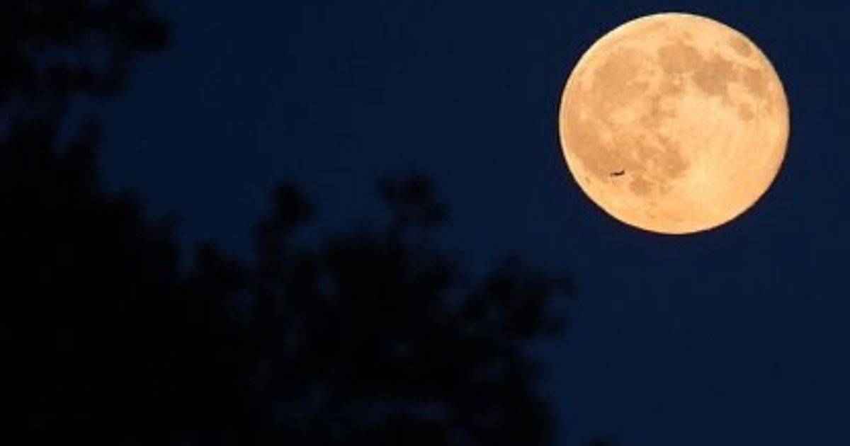 Luna del cervo: in arrivo l’eclissi della luna piena di luglio