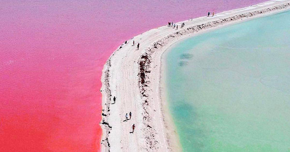 La laguna rosa si trova in Messico ed  un vero spettacolo della natura