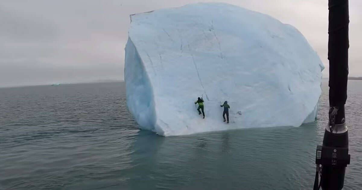Tentano di scalare un iceberg del Mar Glaciale Artico 8220non  stata una buona idea8221