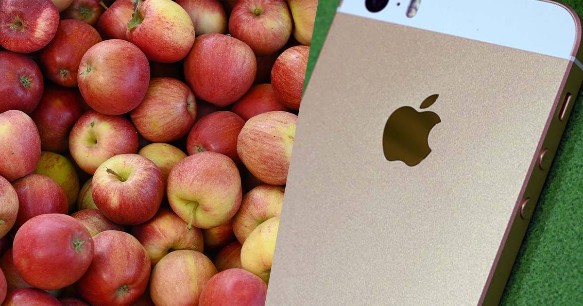 Ordina un sacchetto di mele e ci trova dentro un iPhone