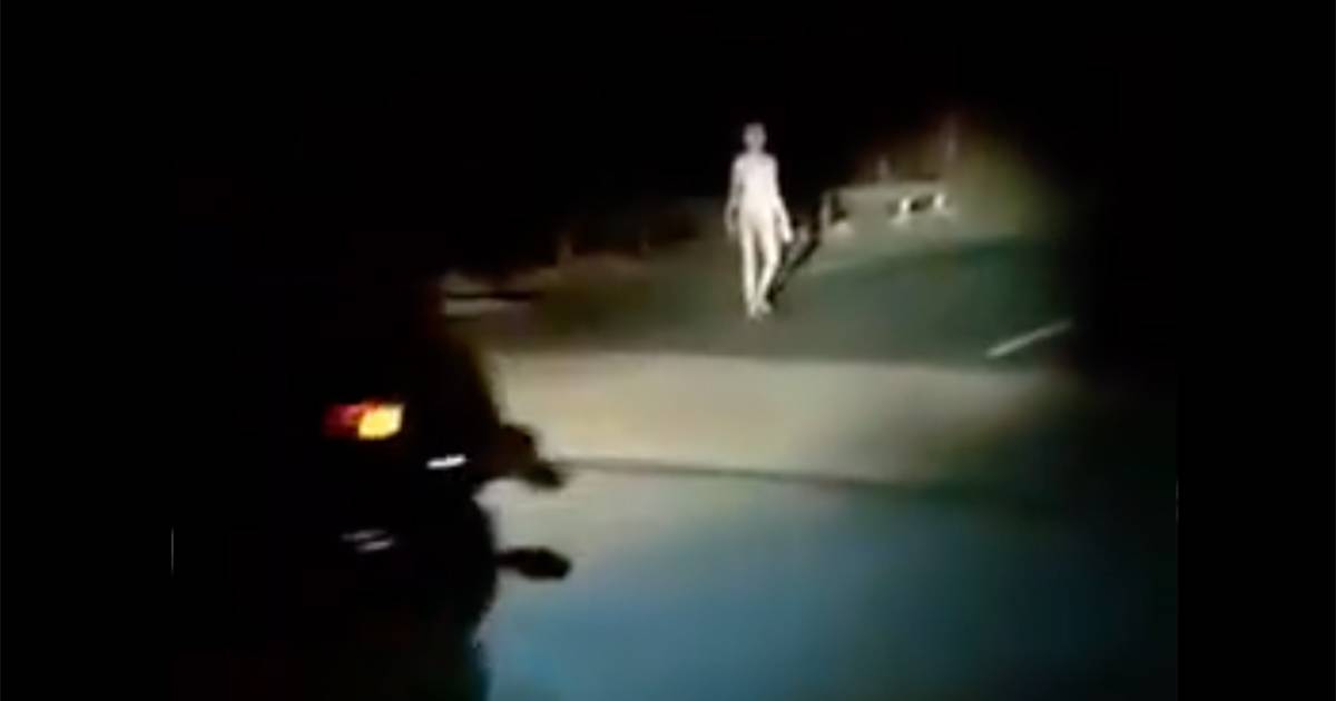  davvero un alieno quello che passeggia a bordo strada Il video diventa virale
