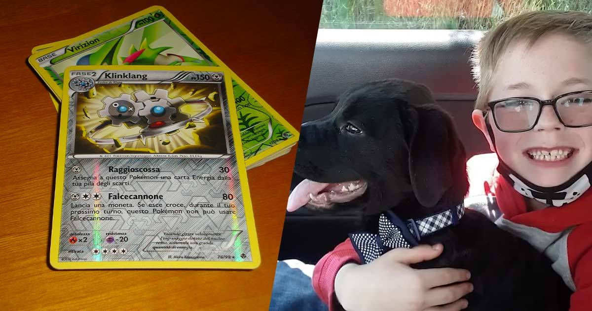 Vende la sua collezione di carte per curare il cane la Pokemon gliene regala di nuove