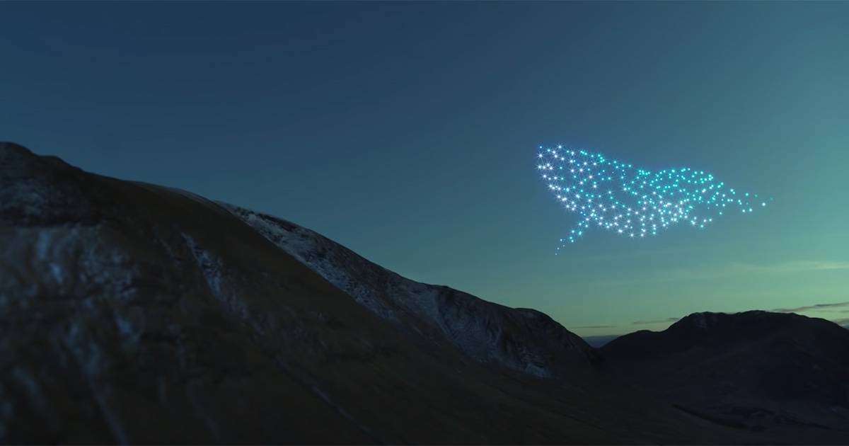 300 droni disegnano gli animali nel cielo il video