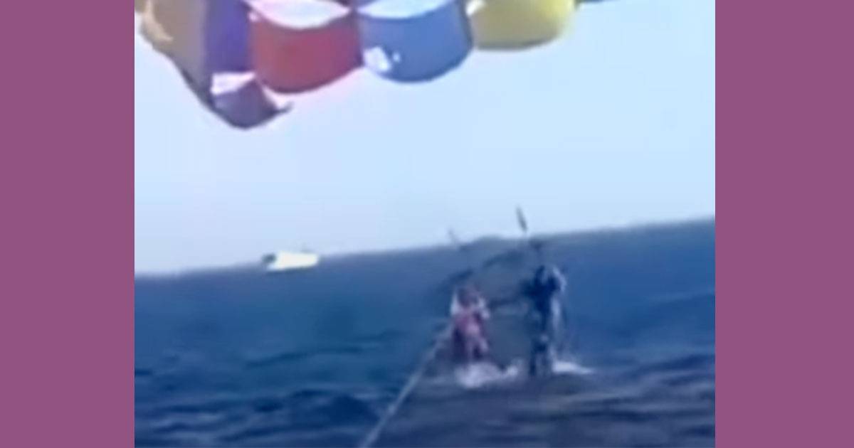 Fa parasailing in tandem nel Mar Rosso uno squalo salta fuori dallacqua e gli morde il piede
