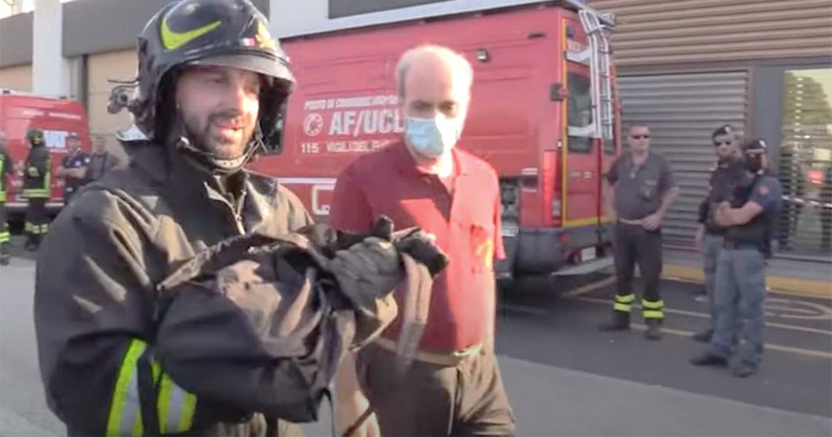 Incendio a Milano i pompieri salvano due gatti rimasti intrappolati