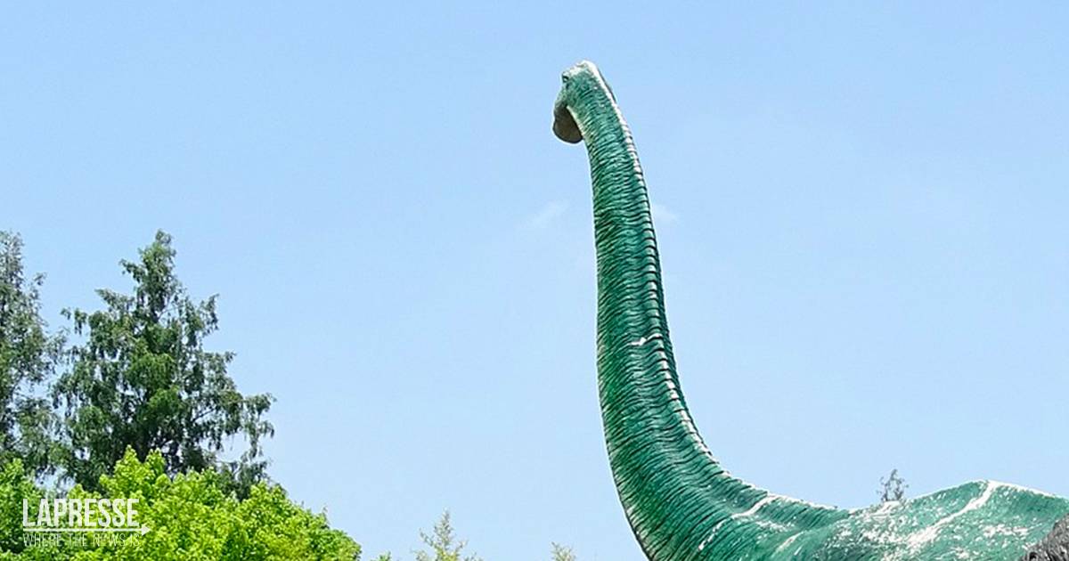 Dalla montagna spunta un gigantesco dinosauro Il video dalla Cina