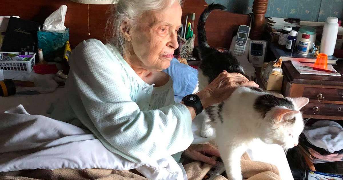 Penny la signora di 101 anni che ha adottato il gatto pi anziano in un rifugio