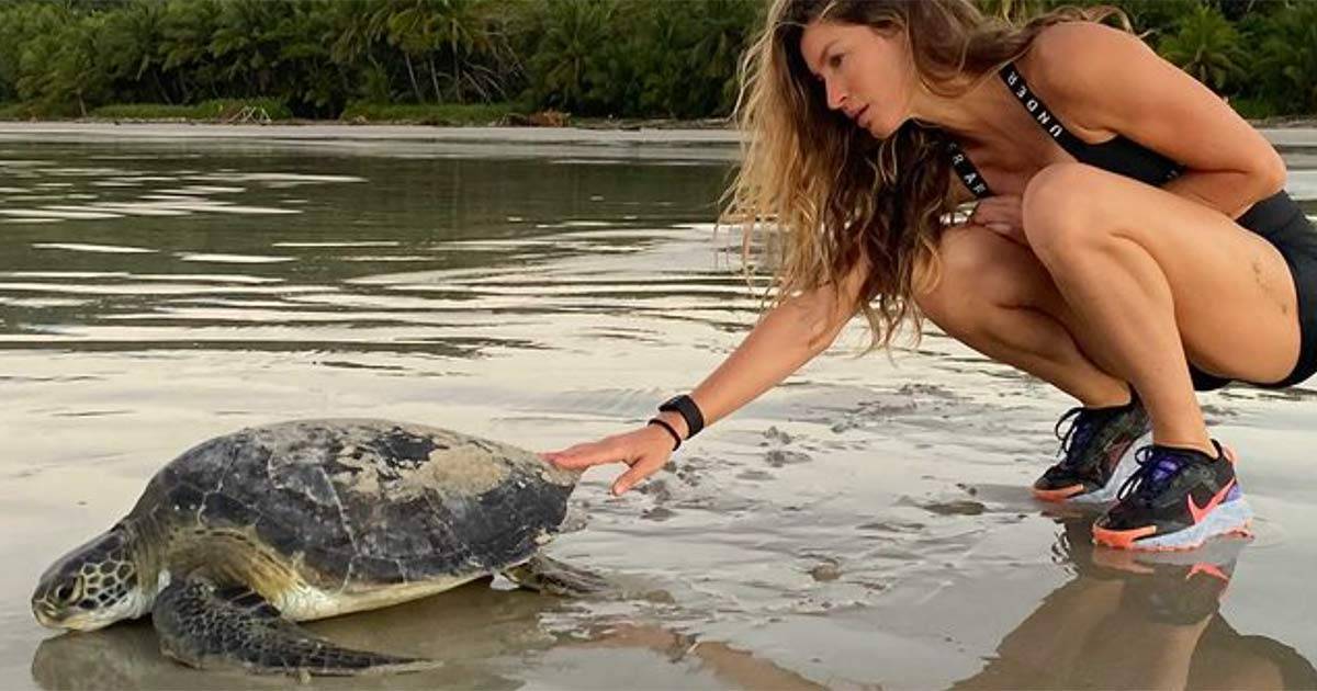 Gisele Bündchen salva una tartaruga gigante: il video su Instagram