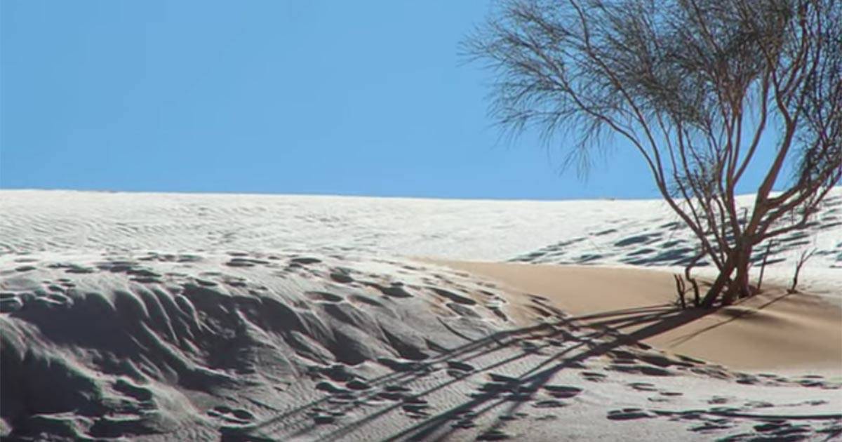 L’incredibile nevicata nel deserto del Sahara: ecco le immagini