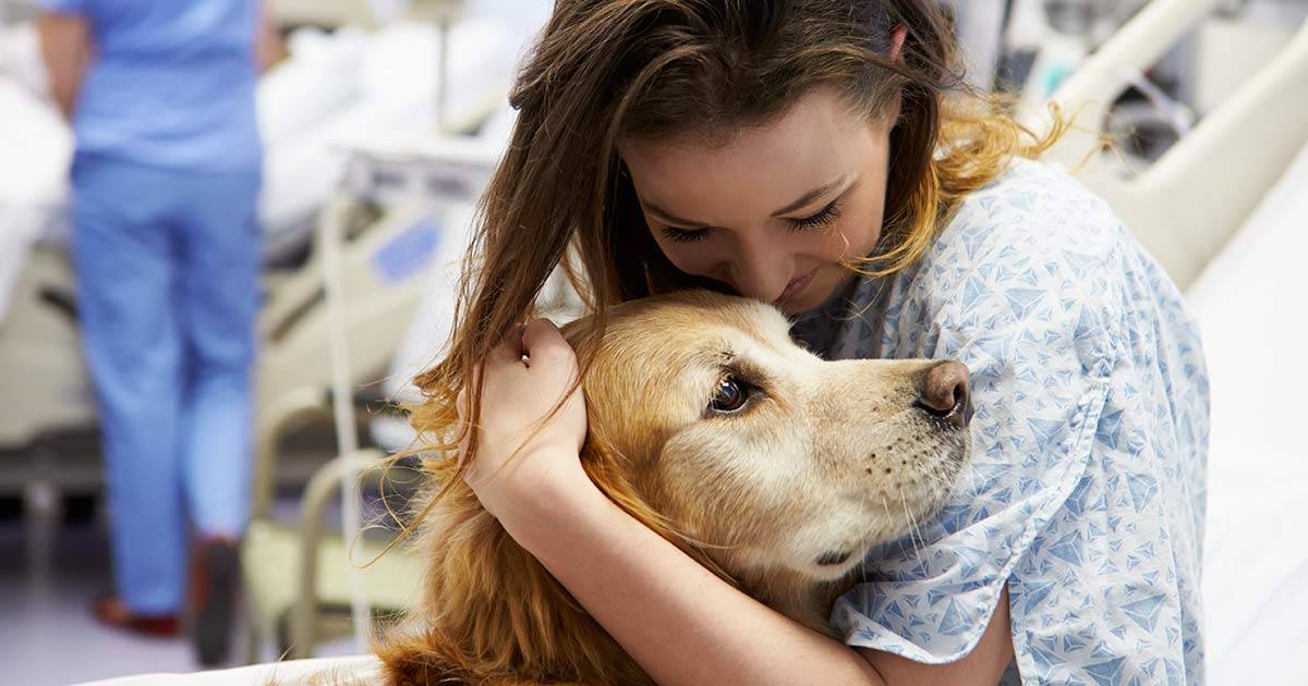 Avere un cane ci aiuta a sopportare meglio il dolore, lo dice questo studio