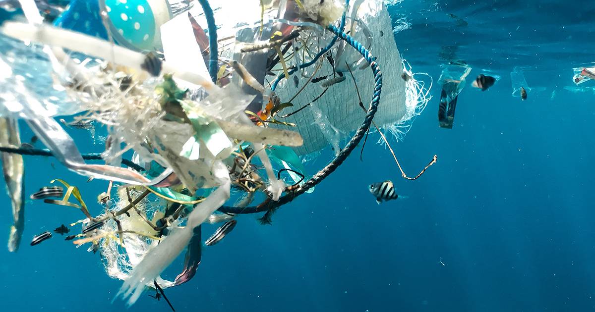 Lenorme rete da pesca che sfida lisola di rifiuti 100mila chili di immondizia da riciclare