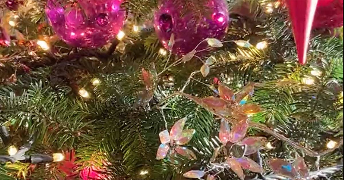 L’abete di 6 metri e le decorazioni natalizie al Castello di Windsor: foto e video