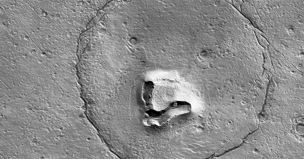 Un orso su Marte limmagine marziana pubblicata dalla Nasa conquista tutti