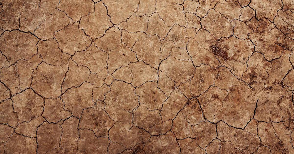 La siccità del Corno d’Africa non sarebbe avvenuta senza il cambiamento climatico