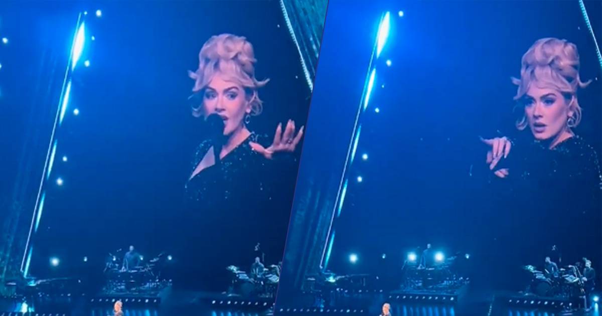 Adele ferma il concerto per aiutare un fan bloccato dalla security il video