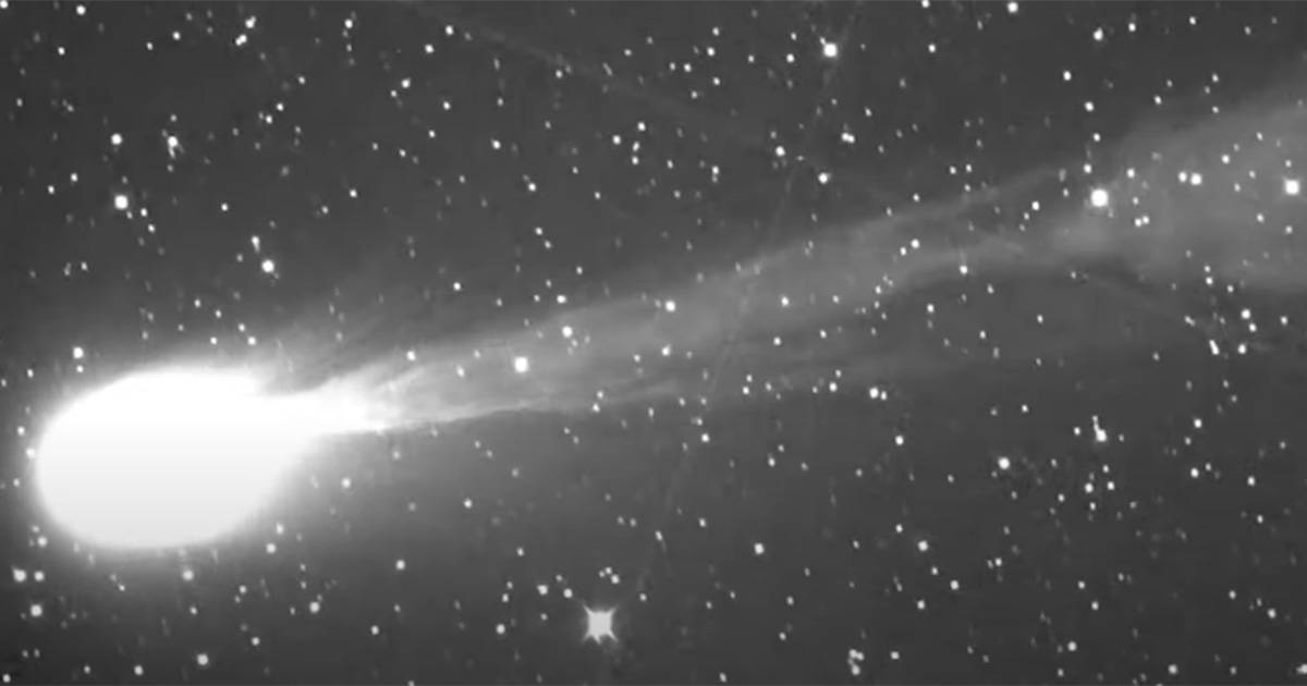 Spettacolo in cielo arriva la cometa 12P e sar visibile ad occhio nudo