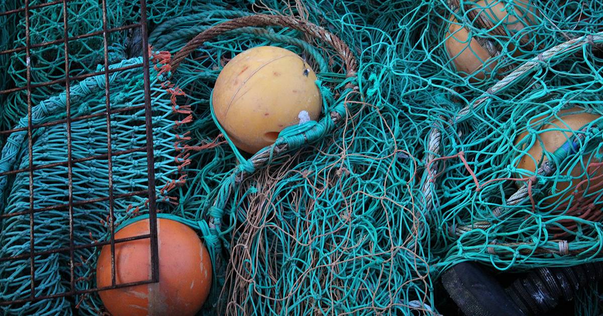 La Grecia si fa pioniera in Europa vietata la pesca a strascico nelle aree marine protette