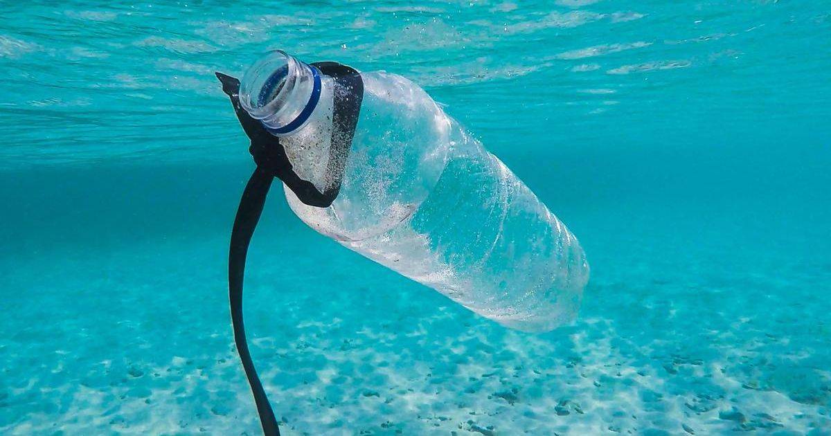 Inquinamento stop alla plastica monouso