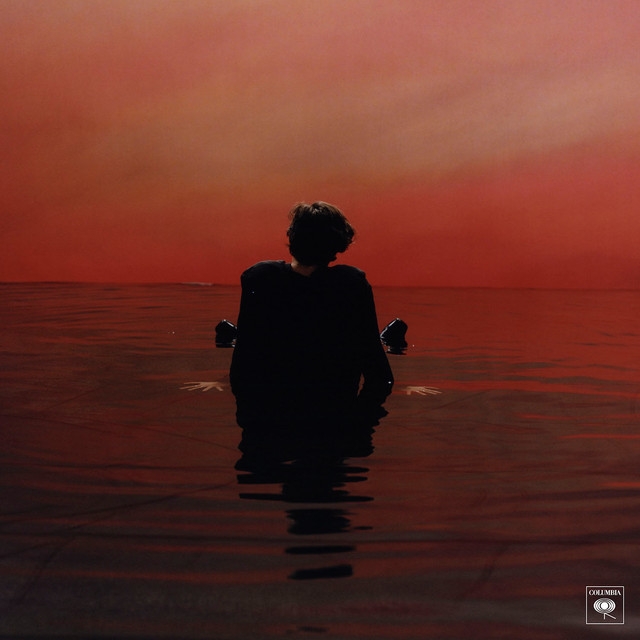  Harry Styles Sign Of The Times